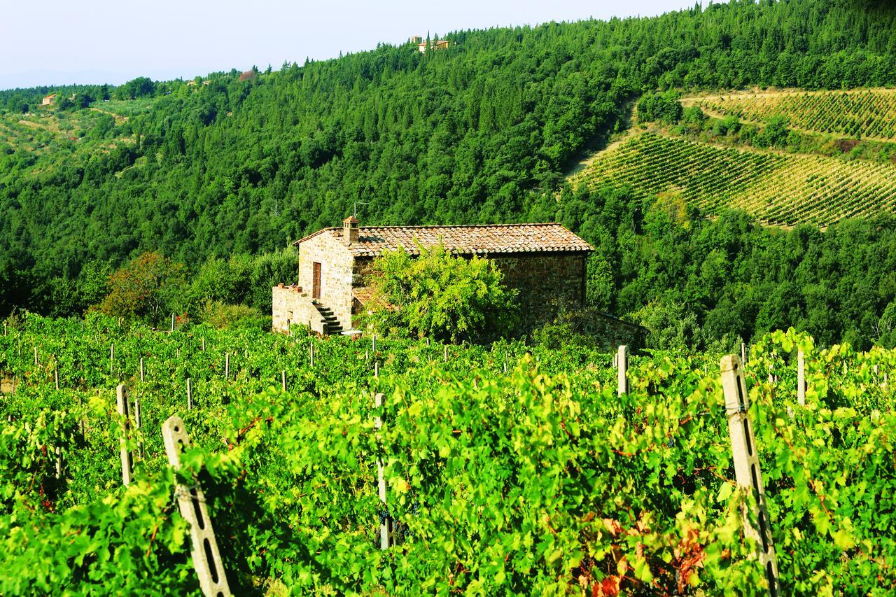 Agriturismo Piemaggino Castellina in Chianti Exterior photo